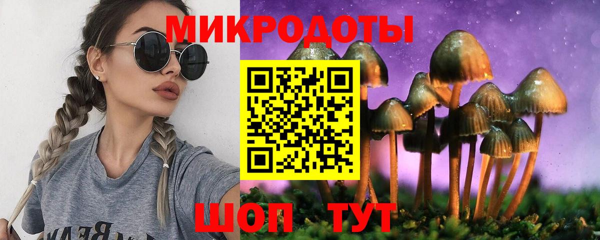 Галлюциногенные грибы прущие грибы Россия